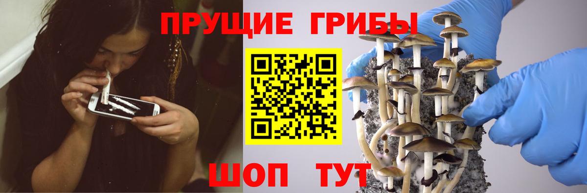 Елабуга  Галлюциногенные грибы Magic Shrooms  Вход с VPN 