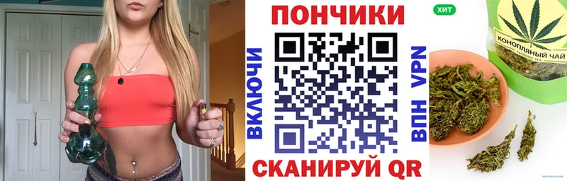 omg как зайти  Елабуга  Каннабис ГИДРОПОН 